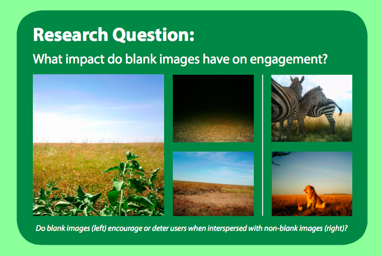 Blank and non-blank images in Snapshot Serengeti