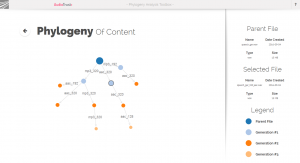 phylogeny